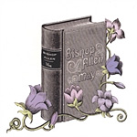 Bishop Allen - May EP
